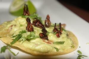 Santo Remedio’s Mexican Independence day Pop Up Grasshoppers