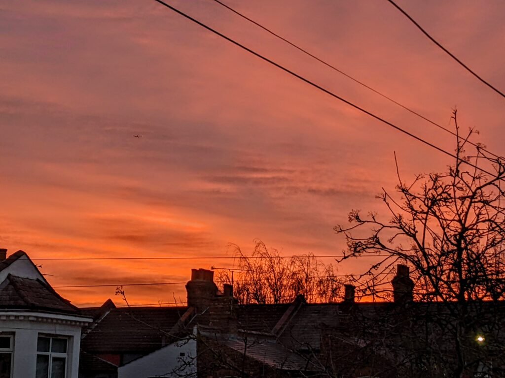 sunrise, red sky, suburban roofs, trees, telegraph wires