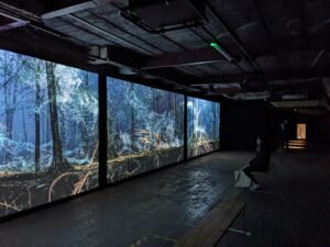 Large screens in a dark room showing Breathing with the Forest exhibit